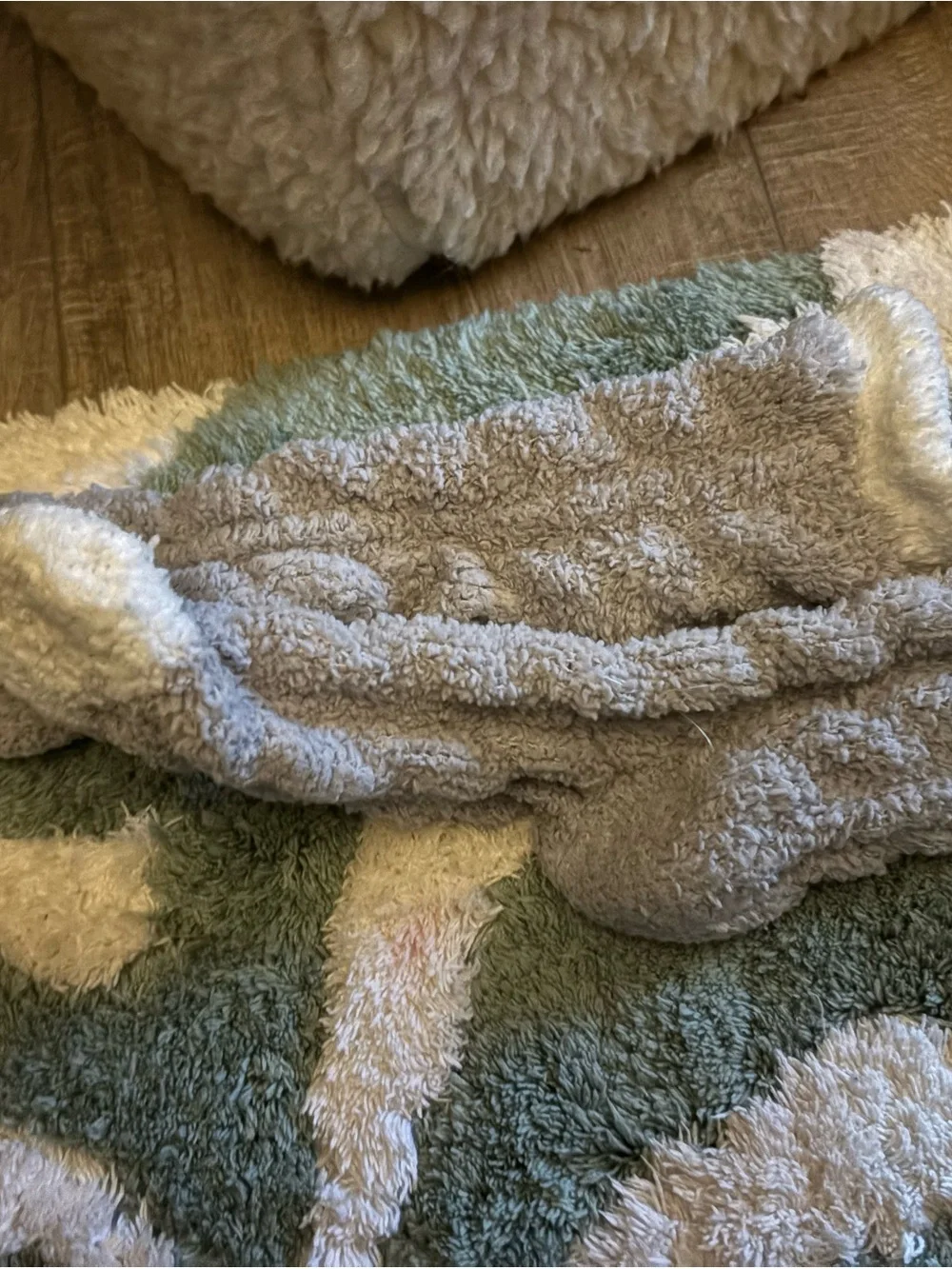 Cozy Plush Socks in Sage Green and Cream - Brand Unspecified